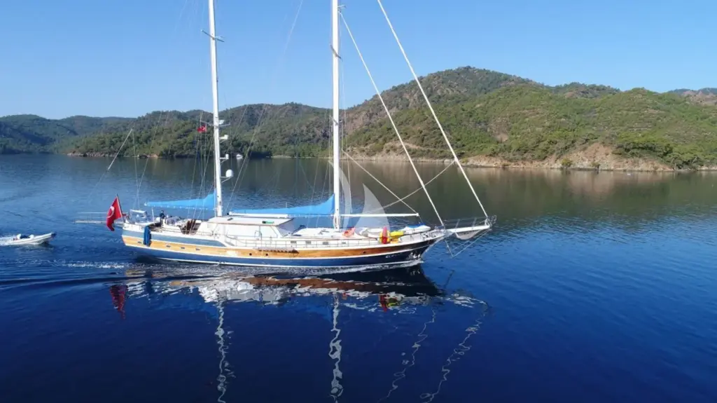 Ece Berrak - Image 4