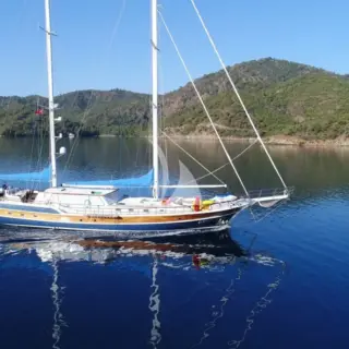 Ece Berrak - Image 4