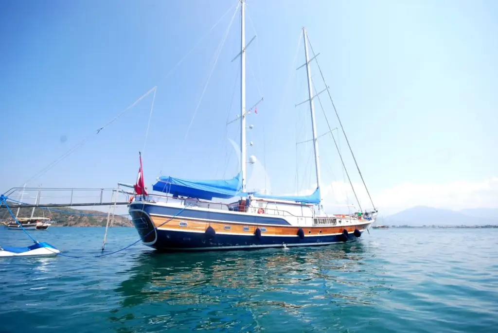 Ece Berrak - Image 5