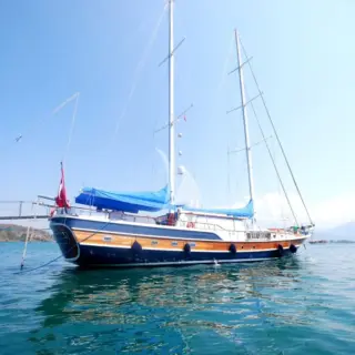 Ece Berrak - Image 5
