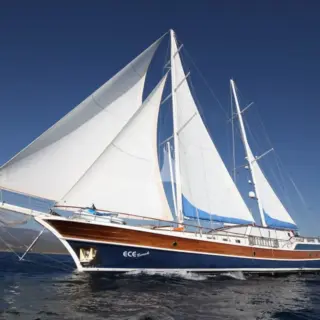 Ece Berrak - Image 1