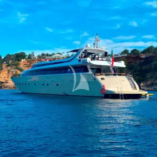 PAULA III - Image 2